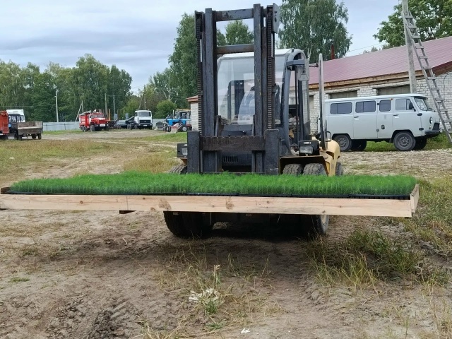 Реализация в Мордовии национальных проектов, предложенных Президентом России.  В Мордовии дан старт новому этапу лесовосстановительных работ